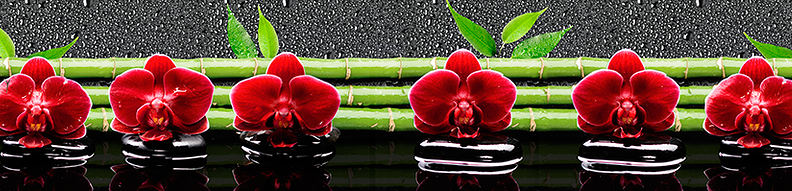 Кухонная стеновая панель (фартук) КФ-031 Орхидеи и бамбук на воде